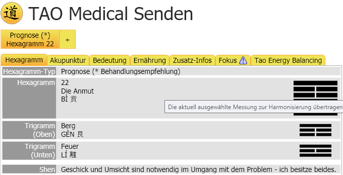 Deutsche TAO-Medical-Oberfläche mit Hexagramm 22, Trigrammen und Registern für weitere Informationen